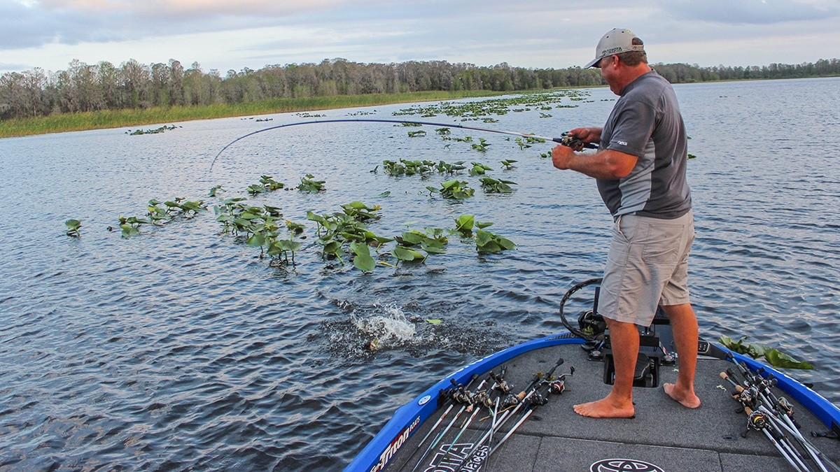 Fishing The Right Lily Pads For Bass